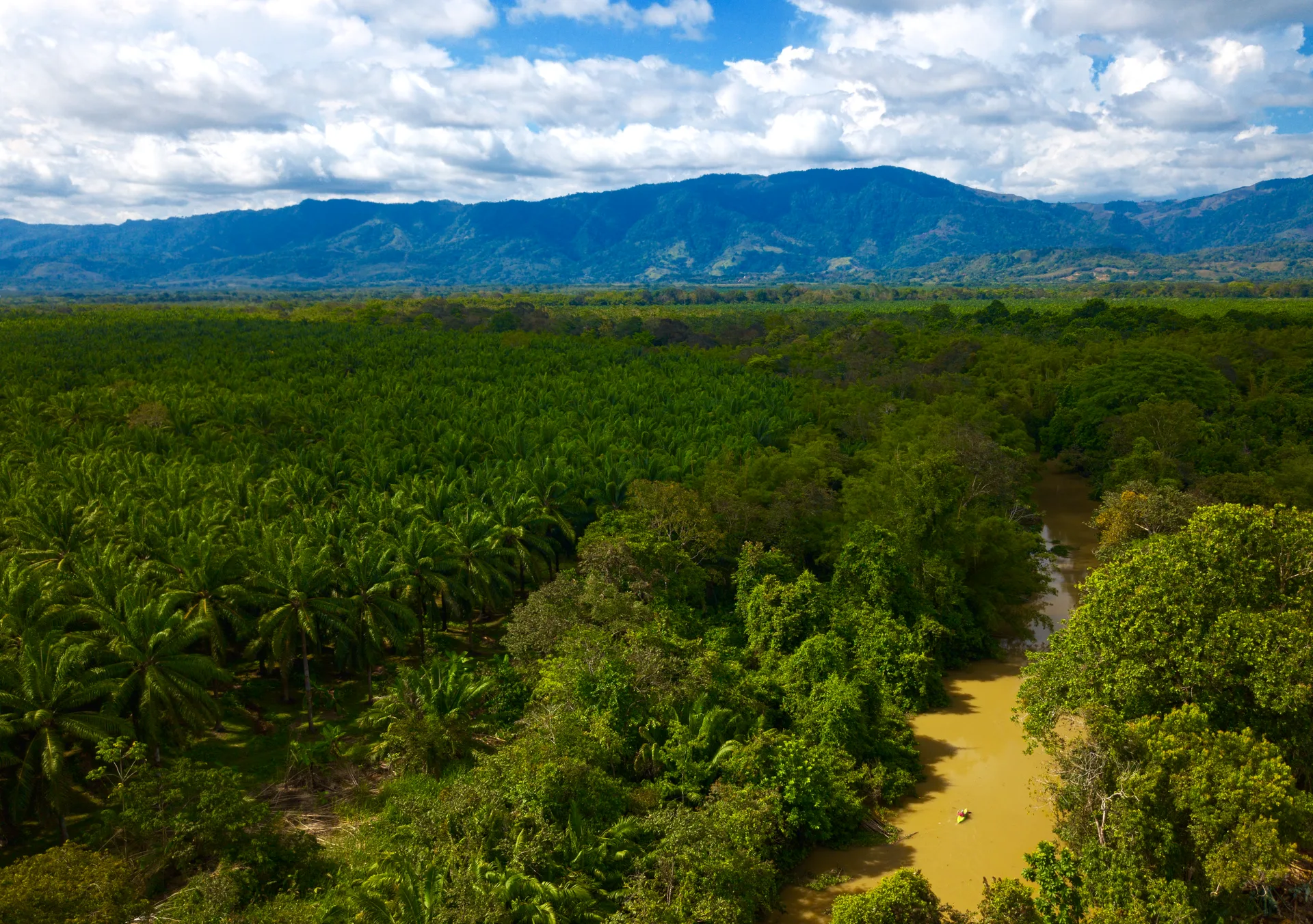 Scenic panoramic view of kayakers surrounded by lush tropical rainforest and mangroves in Sierpe | Økologisk kajaktur i mangroverne og Estero Azul i Sierpe