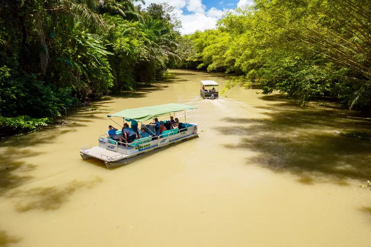 Embarcación pontoon safari diseñada para el máximo confort y visibilidad en Sierpe | Tour diürn pels manglars (Tour des de Sierpe)