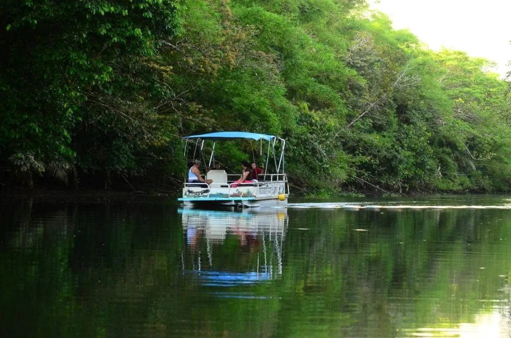 Paseo en bote pontoon sobre el sereno reflejo de las aguas del Río Sierpe | Tour diürn pels manglars (Tour des de Sierpe)