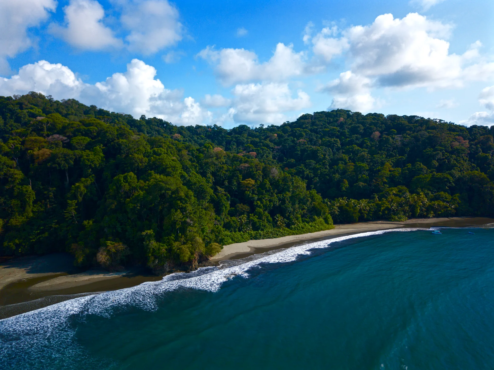Costa tropical virgen de Isla Violines rodeada de densa selva y mar esmeralda | Tour als manglars i a la platja d'Isla Violines (Tour des de Sierpe)