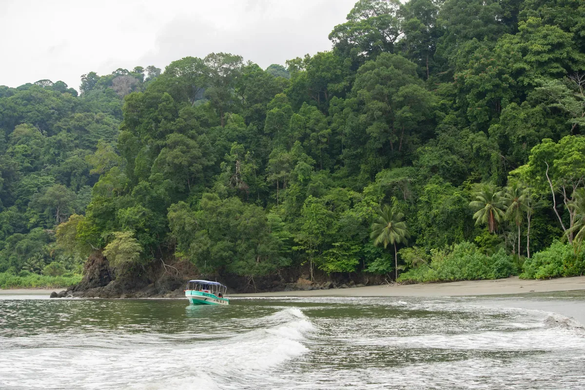 Paisaje marino tropical con aguas cristalinas en el Pacífico Sur de Costa Rica | Tour als manglars i a la platja d'Isla Violines (Tour des de Sierpe)