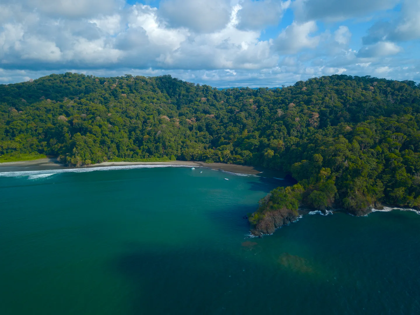 Playa virgen de Isla Violines en la costa pacífica de Sierpe, Costa Rica | Tour als manglars i a la platja d'Isla Violines (Tour des de Sierpe)
