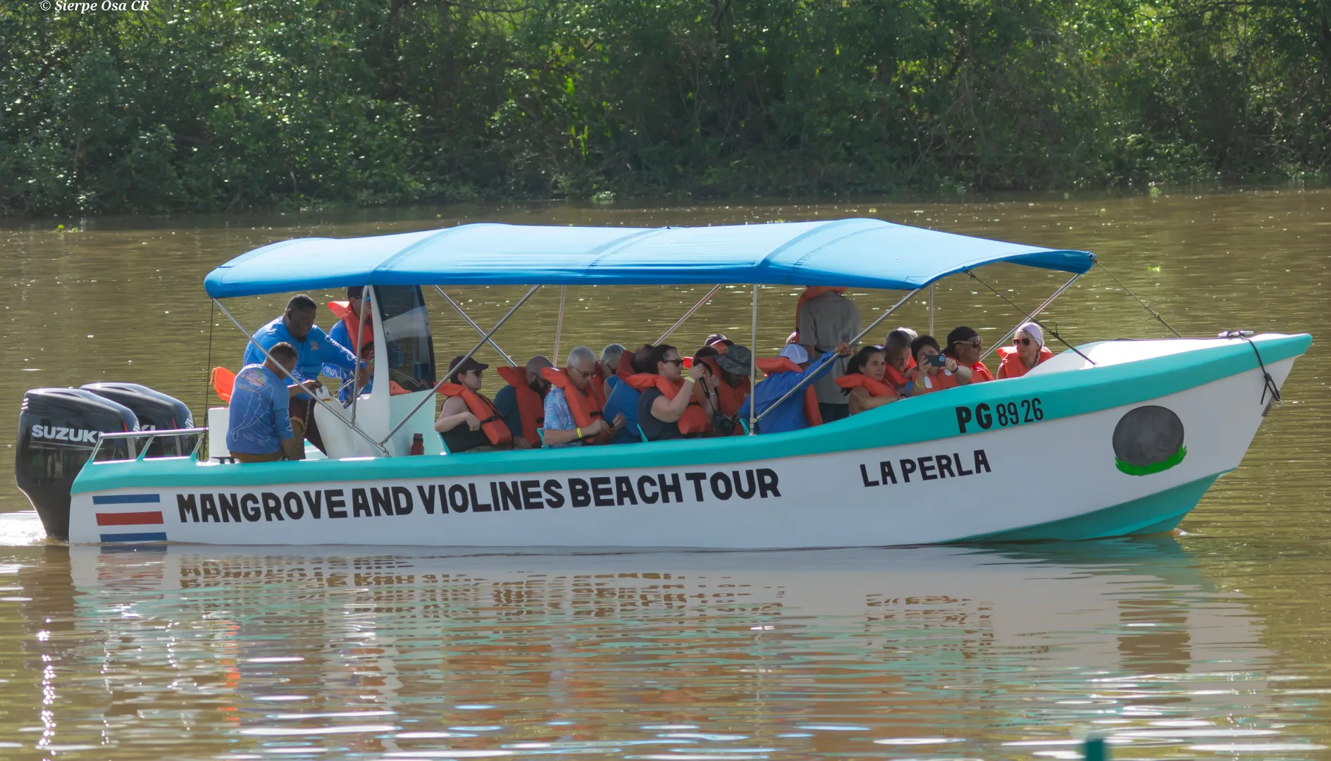 Embarcación La Perla del Sur guiando la expedición hacia Isla Violines | Tour als manglars i a la platja d'Isla Violines (Tour des de Sierpe)