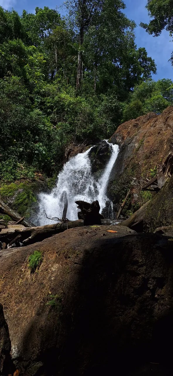 Hidden jungle waterfall along the rainforest trail in San Pedrillo Station | תחנת הפקחים סן פדריז'ו בפארק הלאומי קורקובדו (סיור מסיירפה)