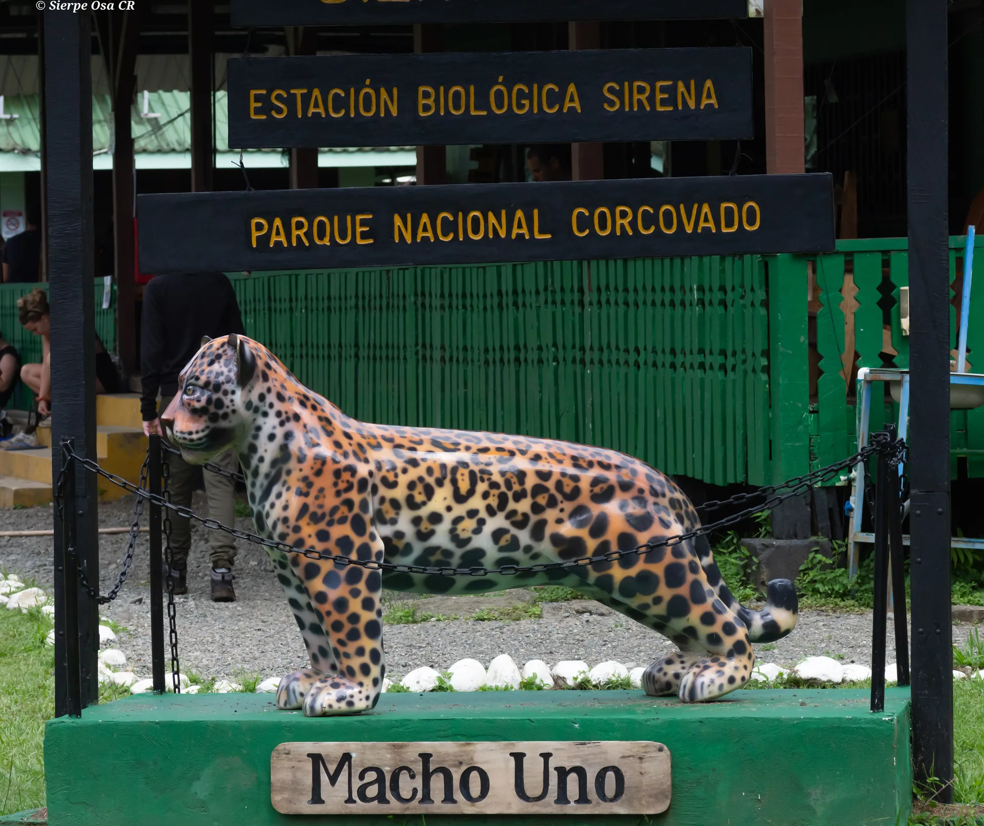 Macho Uno jaguar monument at Sirena Biological Station lodge during Corcovado overnight tour | Corcovado National Park Sirena Station Overnight Tour (2 Days / 1 Night)
