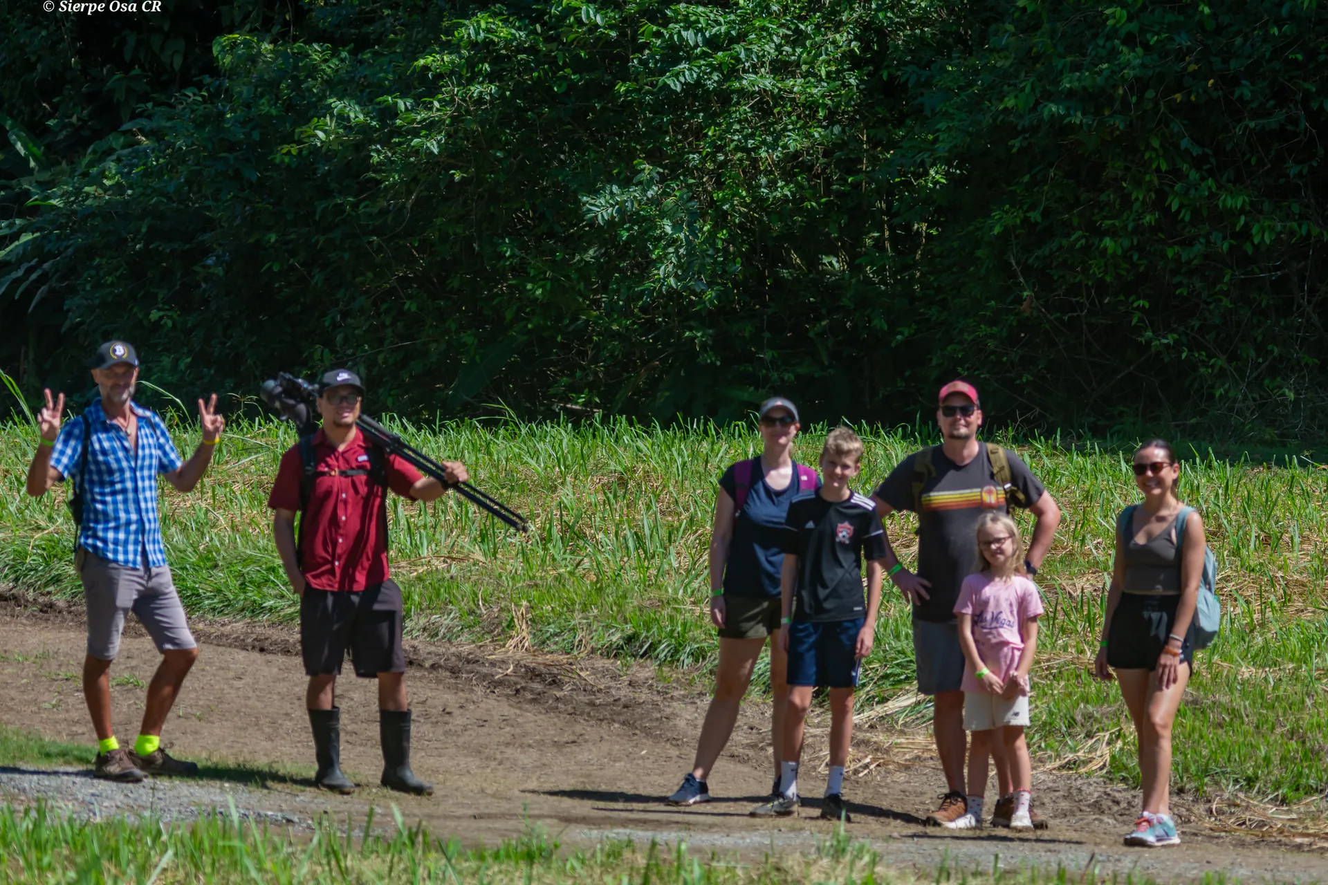 Hikers and certified naturalist guide exploring rainforest trails on the Corcovado Sirena overnight tour | Corcovado National Park Sirena Station Overnight Tour (2 Days / 1 Night)