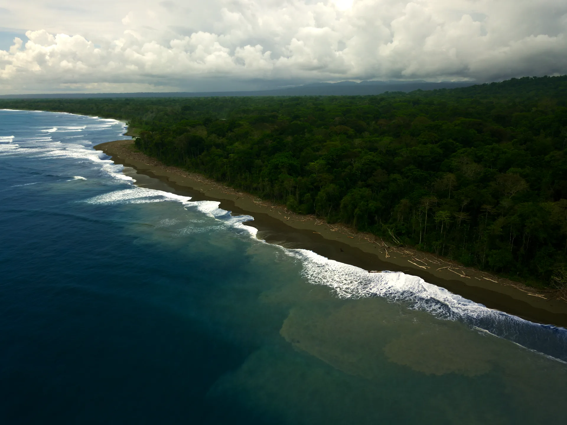 Panorámica aérea de la costa virgen donde la selva de Corcovado se une al mar | Parc Nacional de Corcovado – Estació Sirena (Tour des de Sierpe)