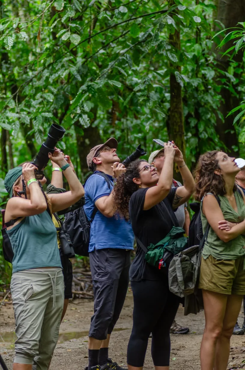 Turistas fotografiando aves y mamíferos en el dosel del bosque de Corcovado | Parc Nacional de Corcovado – Estació Sirena (Tour des de Sierpe)