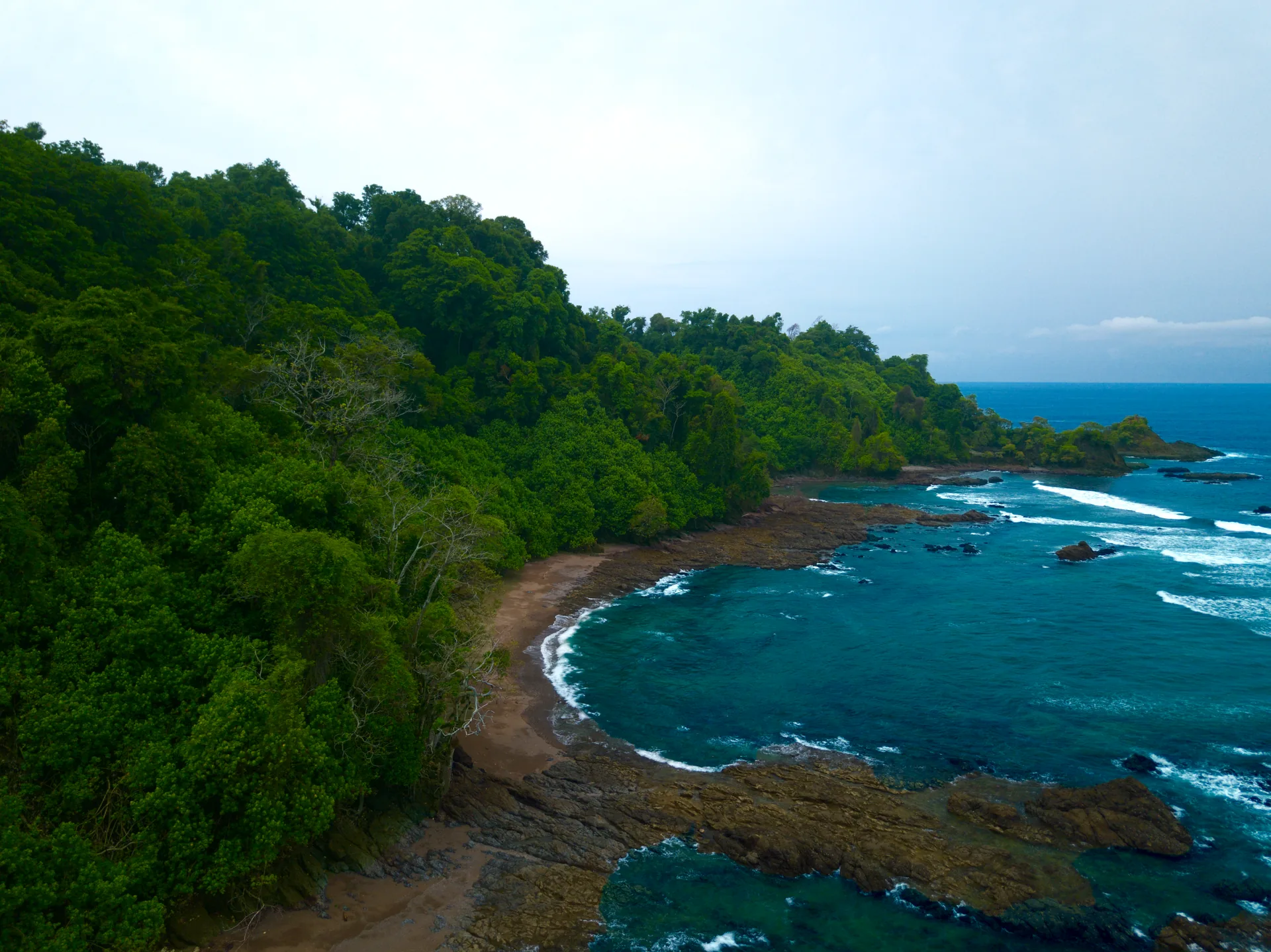Luftaufnahme der Korallenriffe und des Strandes auf Caño Island | Tauchen auf der Isla del Caño (Tour ab Sierpe)