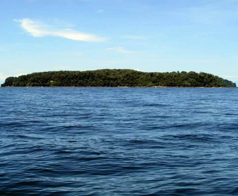 Einzigartige Vielfalt an Meereslebewesen im Caño Island Reservat | Tauchen auf der Isla del Caño (Tour ab Sierpe)