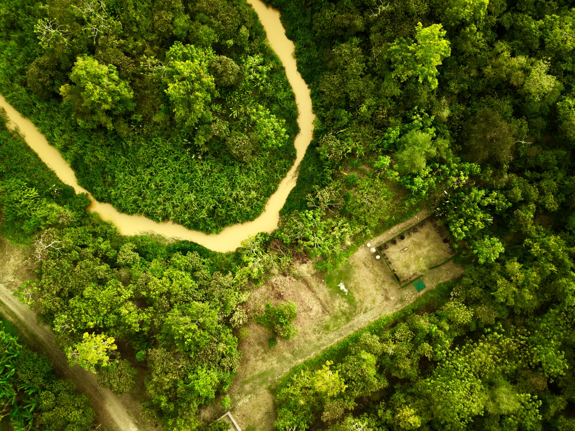 Sitio arqueológico ancestral de la civilización Diquís en el delta del Río Sierpe | Manglars i esferes de pedra (Tour des de Sierpe)