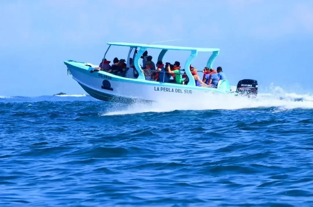 Bote de regreso diario de Bahía Drake hacia Sierpe por río y mar Bote de regreso diario de Bahía Drake hacia Sierpe por río y mar | Barca de Drake Bay a Sierpe (Transport)