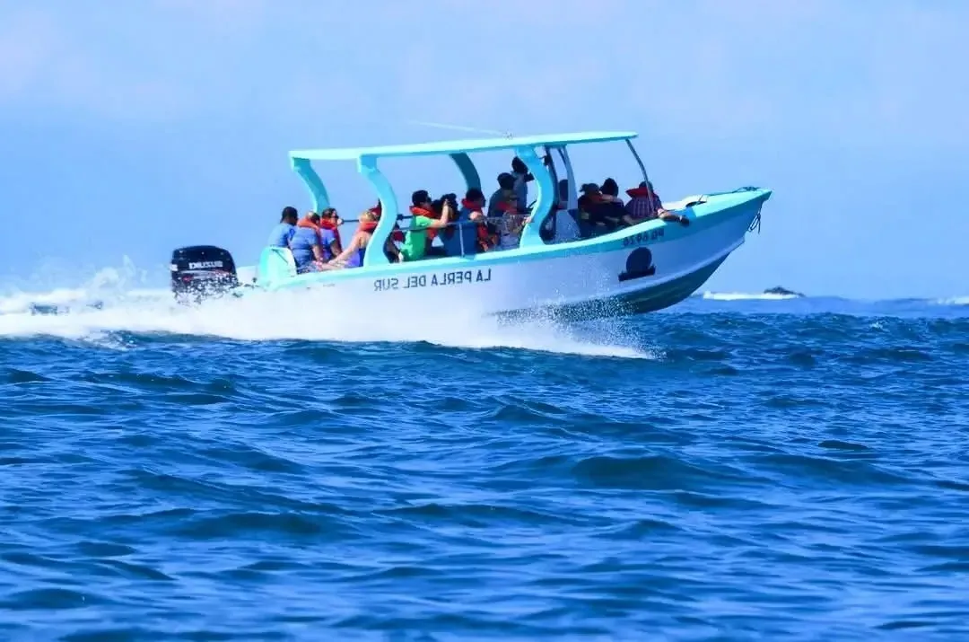Servicio de transporte diario en bote taxi entre Sierpe y Bahía Drake Servicio de transporte diario en bote taxi entre Sierpe y Bahía Drake | Barca de Sierpe a Drake Bay (Transport)
